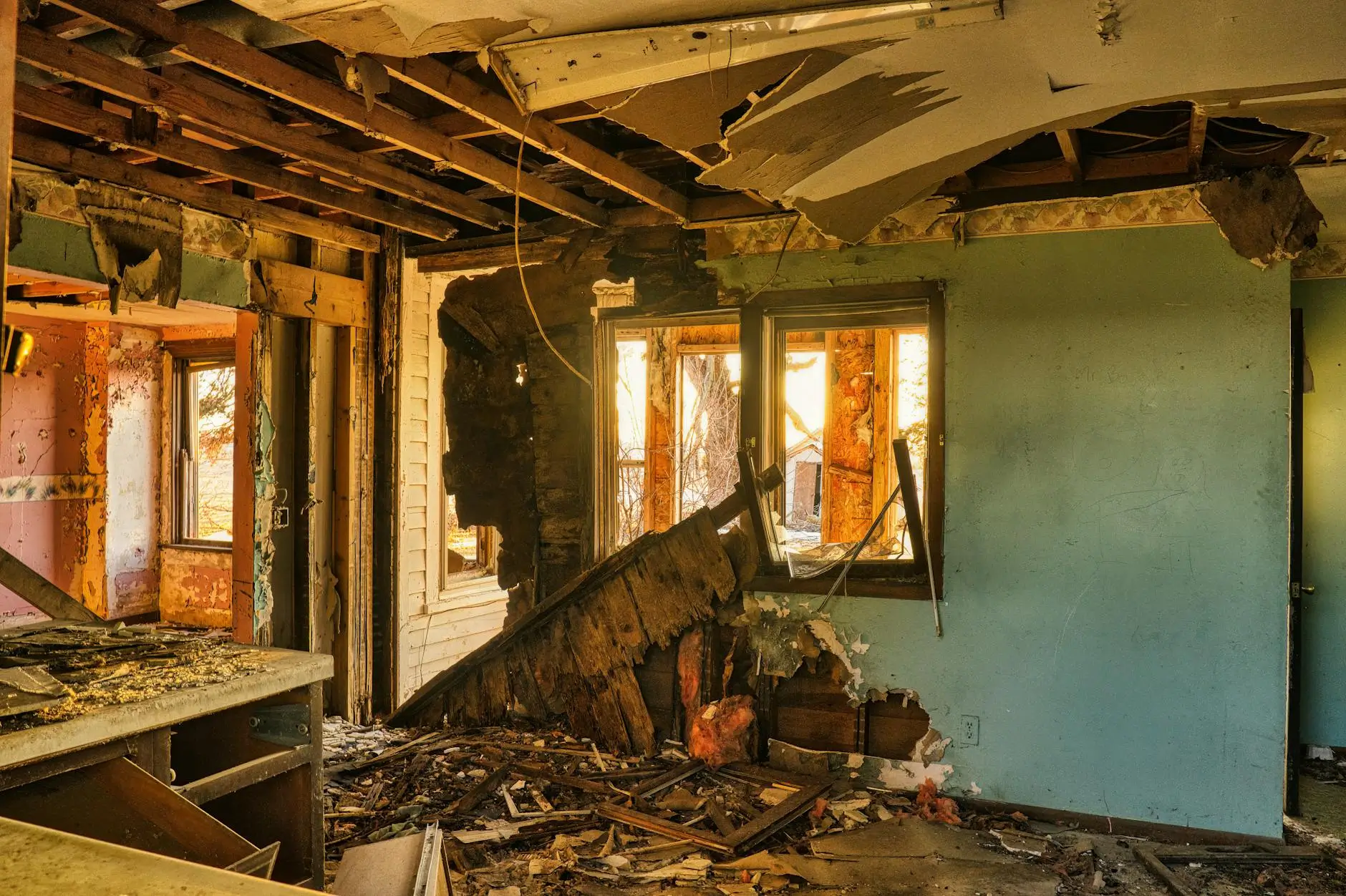 Livermore's Trusted Mold Remediation Specialists — Livermore, CA